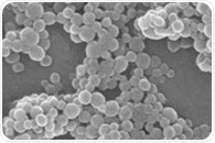 Novel Amino Acid Nanoparticles Offer Hope for Fighting Multi-Drug Resistant Cancers