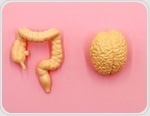 From gut to brain: How diet can influence Alzheimer's and Parkinson's outcomes
