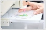 How is three dimensional bioprinting used for tissue and disease modeling