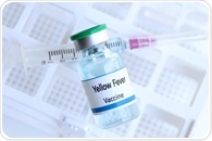 Do yellow fever vaccines truly provide effective lifelong protection against the disease after a single dose?