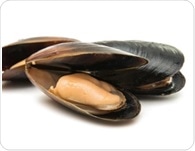 Mussel oil beats fish oil in atherosclerosis prevention, animal study finds