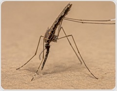 Researchers advocate for “pathogen prospecting” to fight malaria