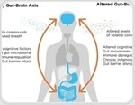 Discovering the gut-brain axis with breath analysis