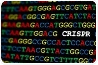 Unlocking the Potential of CRISPR/Cas13 for Antiviral Therapy