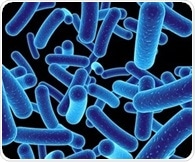Study identifies the main types of E. coli bacteria that cause neonatal meningitis
