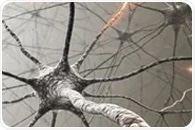 Study uncovers decision-making impairments linked to Parkinson's drug