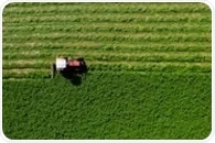 Biotechnology and the Development of Hypoallergenic Agriculture