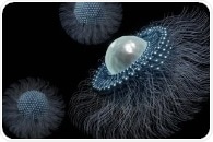 Nanomedicine: Advantages and Disadvantages