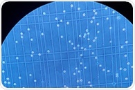 How AI is transforming cell viability and health assessments