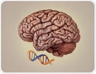 Epigenomic dynamics shape human brain development and neuropsychiatric disorder risks