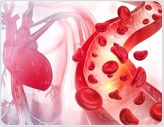 The long-term cardiac impact of COVID-19