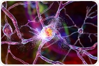 Researchers discover key biochemical mechanism in Huntington's disease development