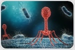 Structural biology reveals secrets of DEV phage infection