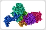 Discovery of multidomain enzyme enhances drug development potential