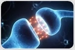 Study reveals hormone receptors' role in brain health and neuroprotection