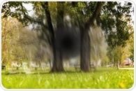 Scientists discover novel compound to combat age-related blindness