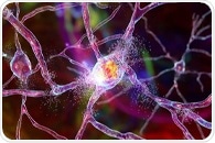 Researchers develop the first polymer-based therapeutic for Huntington’s disease