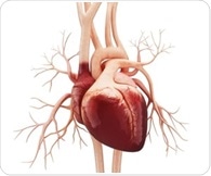 Elevated cytokines found in the blood of long COVID sufferers explain heart problems