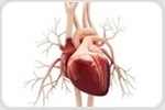 Elevated cytokines found in the blood of long COVID sufferers explain heart problems