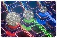 Quantum Dot Labeling: Precision and Sensitivity in Biological Research