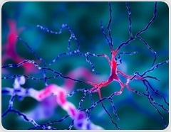 Saturated fats accelerate neurodegeneration in multiple sclerosis