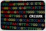 CRISPR technology reveals essential noncoding RNAs in the human genome