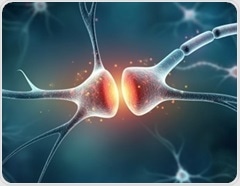 Decades of DNA expansion linked to Huntington’s disease neurodegeneration