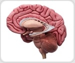 New research sheds light on brain inflammation in Alzheimer's