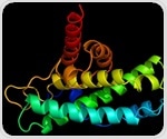Engineered Phages Deliver Therapeutic Proteins to Intestines