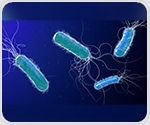 Jumbo phages' protective shield offers clues for fighting antibiotic resistance