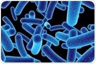 Study reveals how beneficial gut microbe breaks down mucus for health