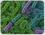 How gut health shapes heart disease risk — and what you can do about it