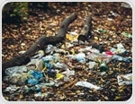 Polluted soil and water are fueling a global heart disease epidemic