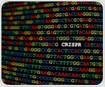 Gene editing shows promise for treating trisomy at cellular level