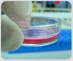 Scientists discover new skeletal tissue with potential for regenerative medicine