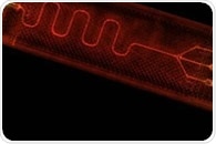 An Open Microfluidic Model for Tumor Cell-ECM Interactions and Anti-Metastasis Testing