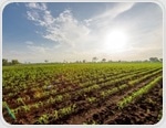 Can We Engineer Crops to Withstand Climate Change and Increasing Temperatures?
