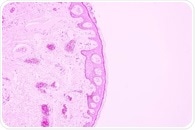 Inside the Cell: How Advanced Imaging is Decoding Organelle Dynamics