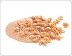 Chitosan clears microplastics from the gut in rats within days