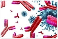Scientists use AI to build mutation-proof antibodies for SARS-CoV-2