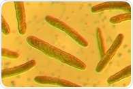 New rifamycin drugs fight antibiotic-resistant lung infections more effectively