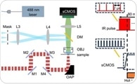 Novel Approach for Enhanced Vibrational Imaging