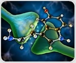 Study illuminates a general principle of neural processing in the brain’s serotonin system