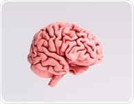 Study shows brain estrogen directly regulates appetite in mice