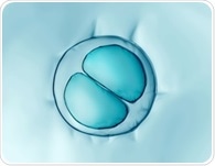 Role of LADs and Epigenetic Pathways in Nuclear Architecture During Early Mouse Embryo Development