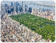 City size reduces obesity and impulsivity through better lifestyle and education