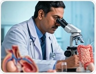 How Are Gut Organoids Used to Model Human Digestive Function?