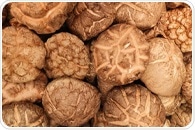 A Precise New Approach to Shiitake Mushroom Classification
