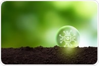 Haematococcus pluvialis Microalga-Derived Nanoparticles Offer Eco-Friendly Boost for Plant Growth and Seed Priming