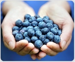 Mediterranean plant may be an effective treatment for ulcerative colitis, rat study shows